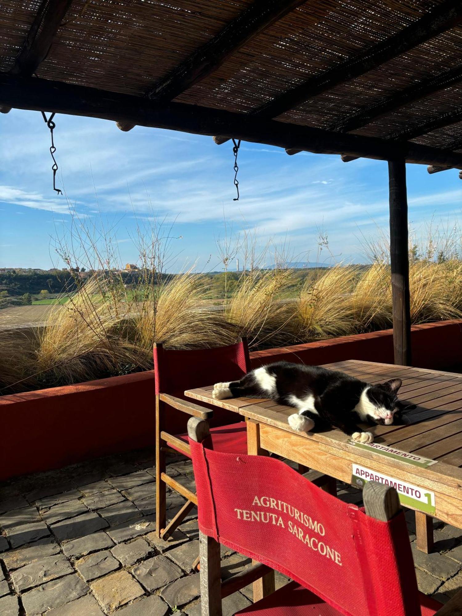 Tenuta Saracone มอนตัลโต ดิ กัสโตร ภายนอก รูปภาพ