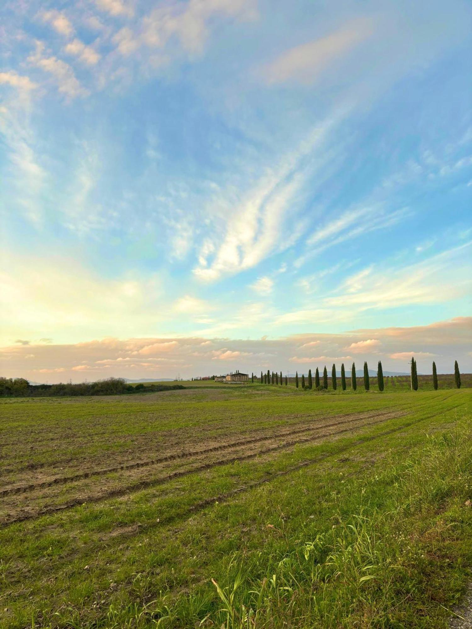 Tenuta Saracone มอนตัลโต ดิ กัสโตร ภายนอก รูปภาพ