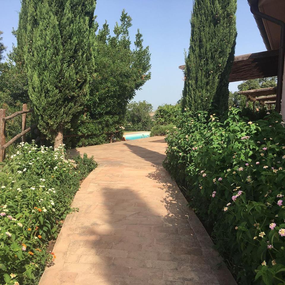 Tenuta Saracone มอนตัลโต ดิ กัสโตร ภายนอก รูปภาพ